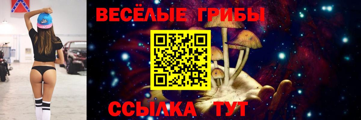 Псилоцибиновые грибы Psilocybine cubensis  Вход с VPN  Североуральск  купить наркоту  Псилоцибиновые грибы Magic Shrooms 